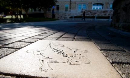 Large concrete paver featuring the TCU Horned Frog logo