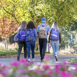 Four students walk past campus landscaping